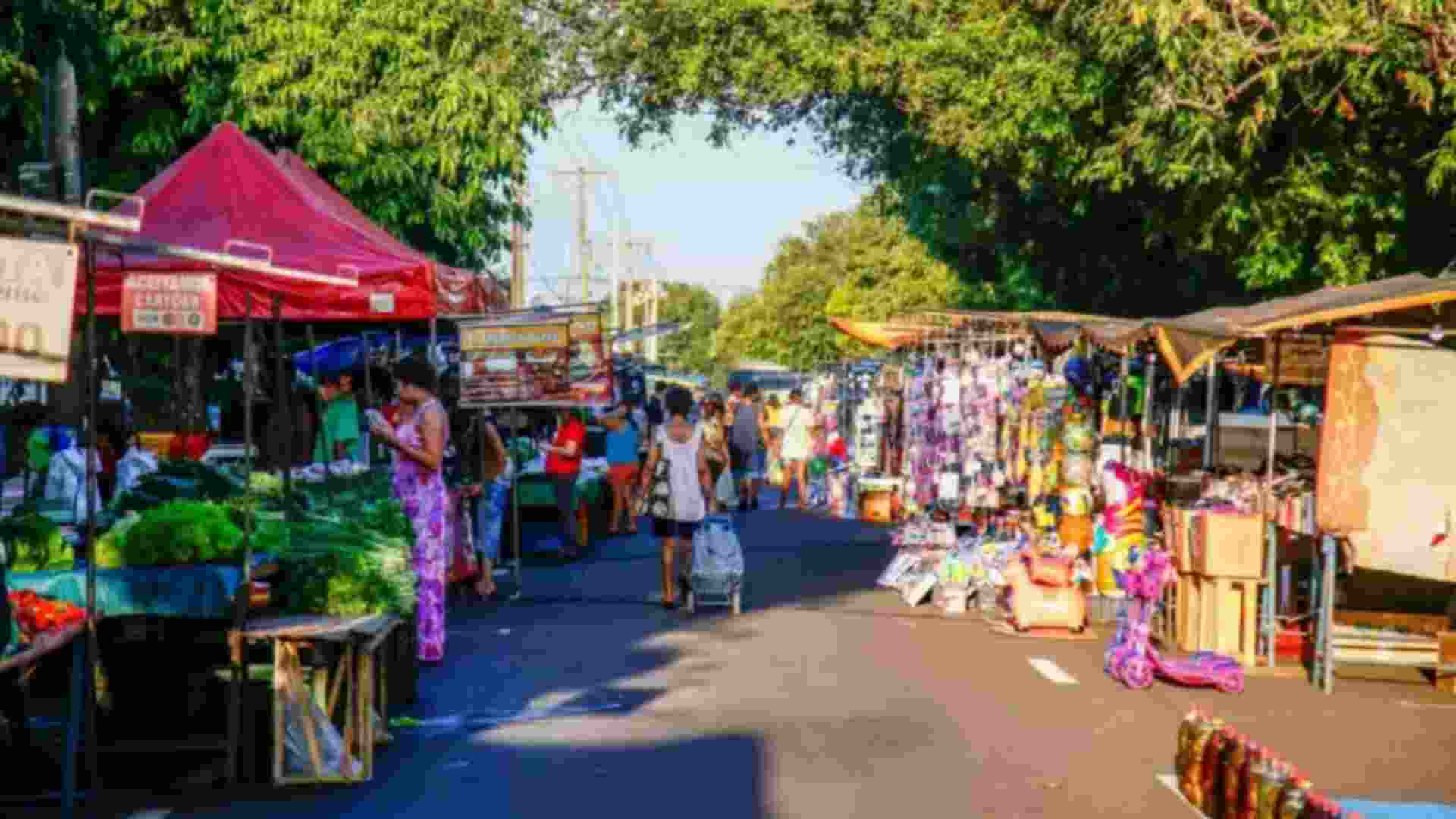 feira cg