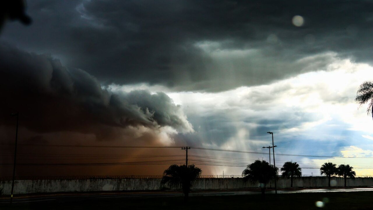 vento chuva henrique arakaki 4