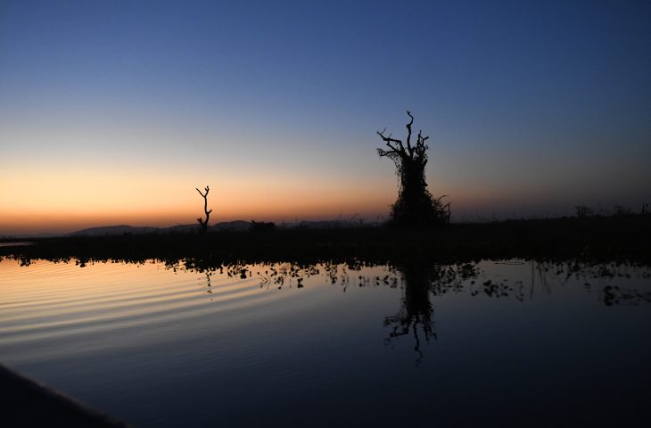 Pantanal Tempo Foto Bruno Rezende 20 730x480