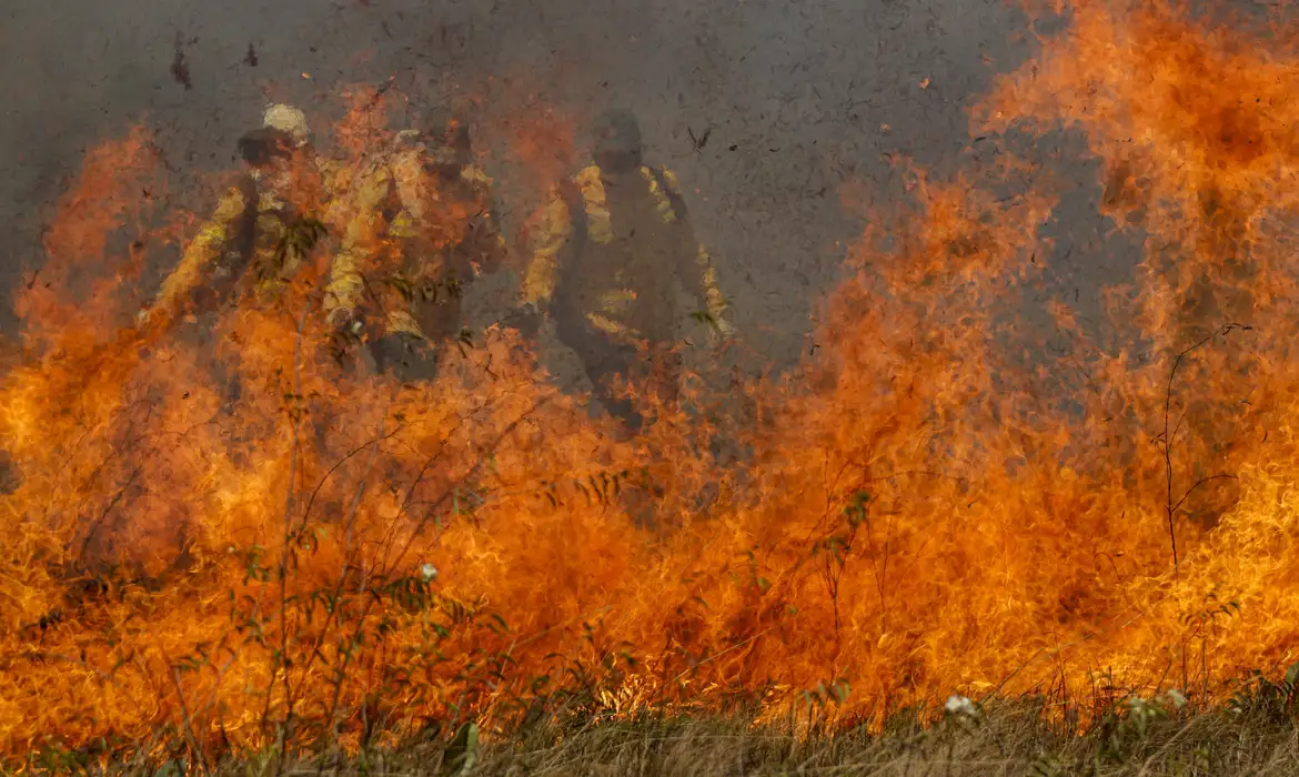 Iincendios castigam o pantanal