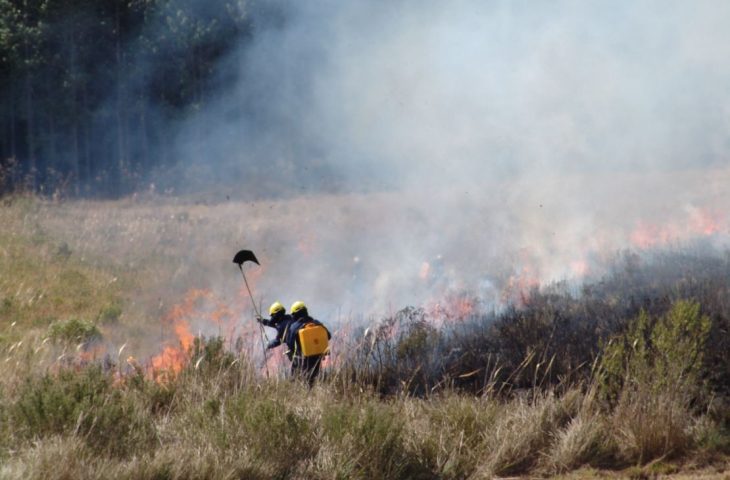 bombeiros SC 730x480