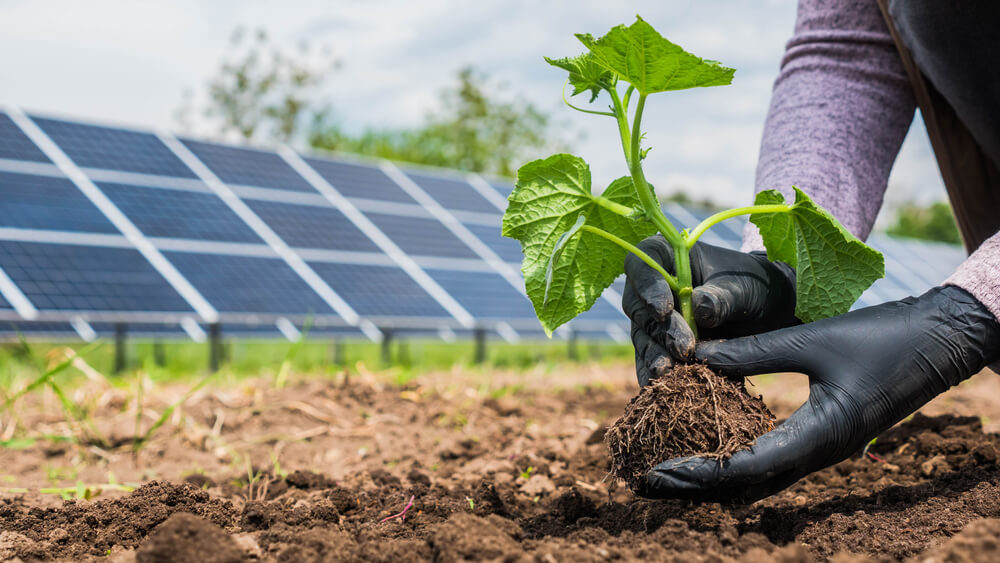 tecnologia sustentabilidade