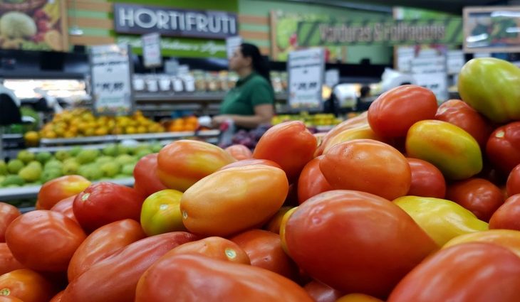 Tomate Rasteiro Mercado Foto Kleber Clajus 730x425