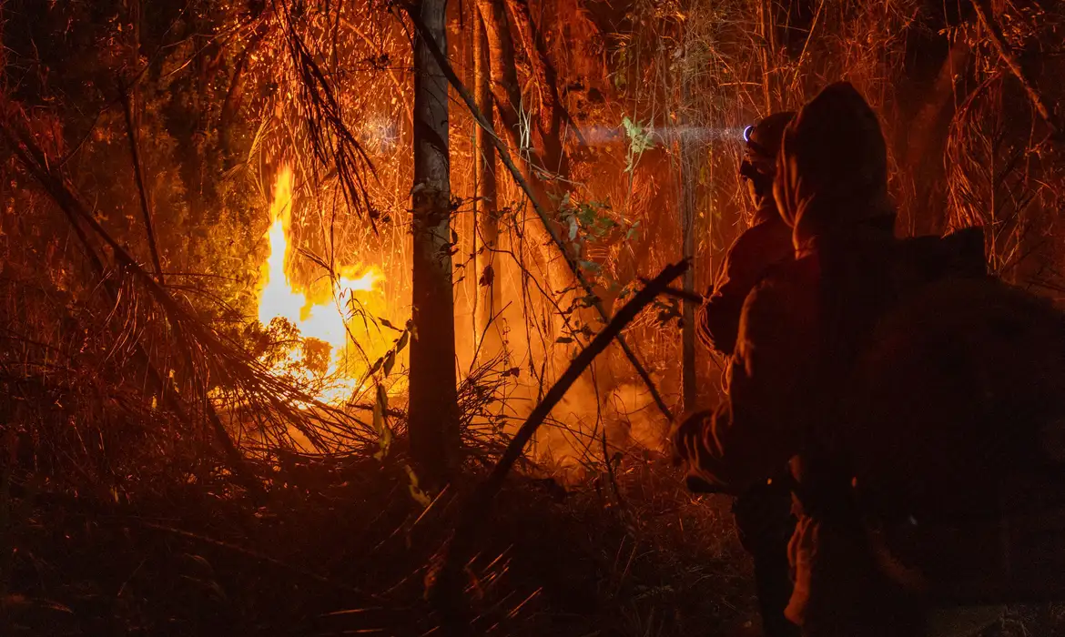 brigadistas combate fogo no para 1