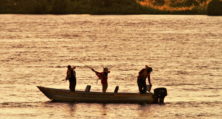 pesca esportiva rio paraguai 768x411