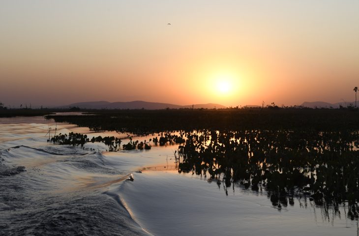 tempo Pantanal Tempo Foto Bruno Rezende 22 730x480