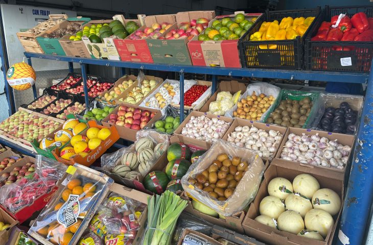 FRUTAS E HORTALICAS 4 730x480
