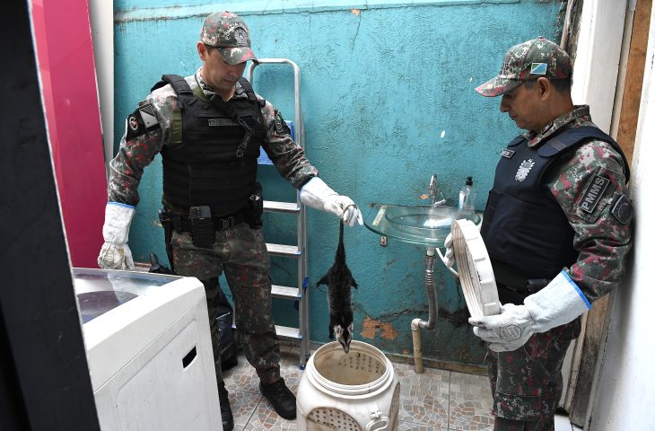 Resgate de Gamba PMA Foto Bruno Rezende 03 730x480 (1)