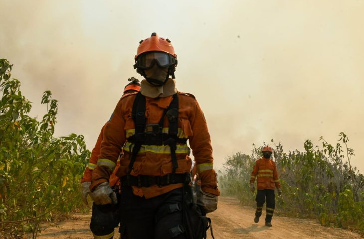 Incendio Pantanal Foto Bruno Rezende 2 730x480