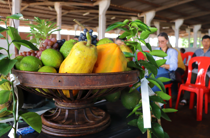 frutas