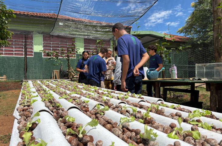 Horta Hidroponica Escola Estadual Foto Cid Nogueira SED 7 730x480