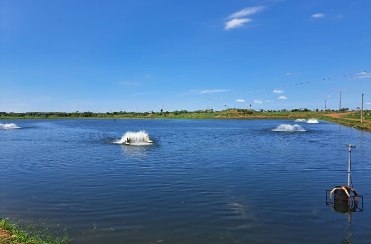 PEIXES ABRE 730x480