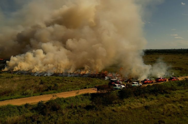 MIF Queima Prescrita Foto Ewerton Pereira Secom 7 730x480