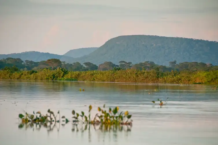 parque nacional parna do pantanal matogrossense divulgacao icmbio