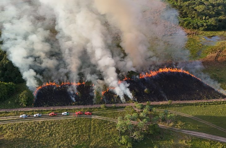 DJI 20260512164009 0022 D.JPG 730x480