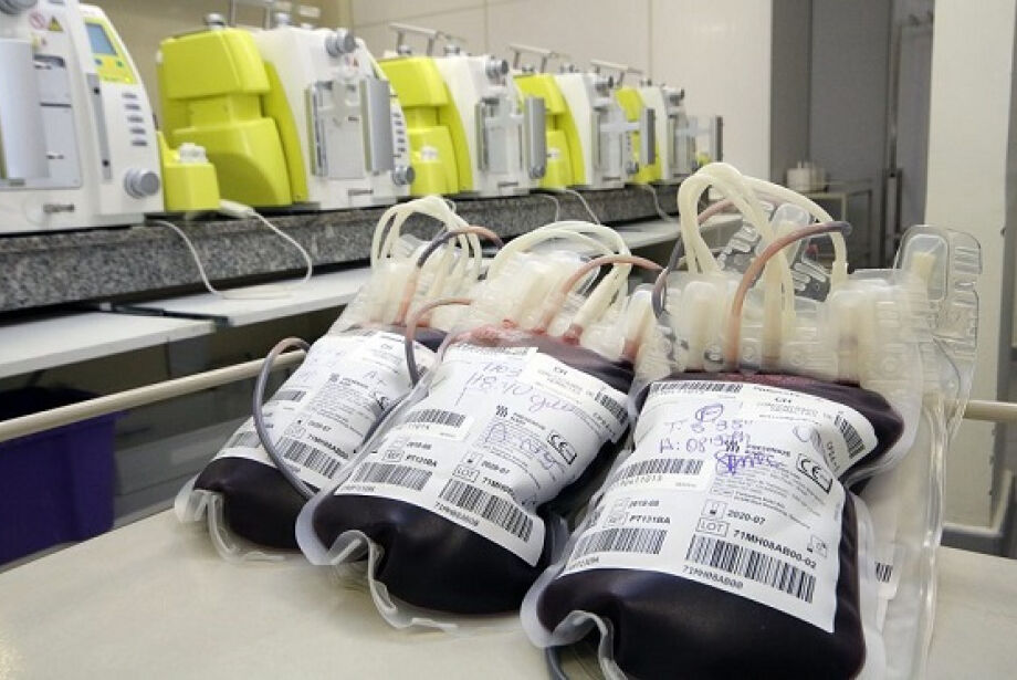 1 hemosul doacao sangue foto edemir rodrigues