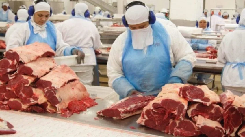 frigorifico carne 848x477